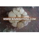 Shandong garlic