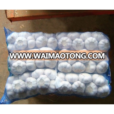 100% Quality White Fresh Garlic,Normal White Garlic,Pure White Garlic for sale