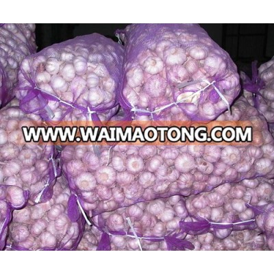 Quality Natural Fresh Normal White Garlic / Fresh Indian Garlic / Big Size Garlic for sale NOW