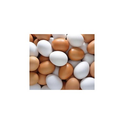 we sell Fresh Chicken Table Eggs & Fertilized Hatching Eggs at affordable prices